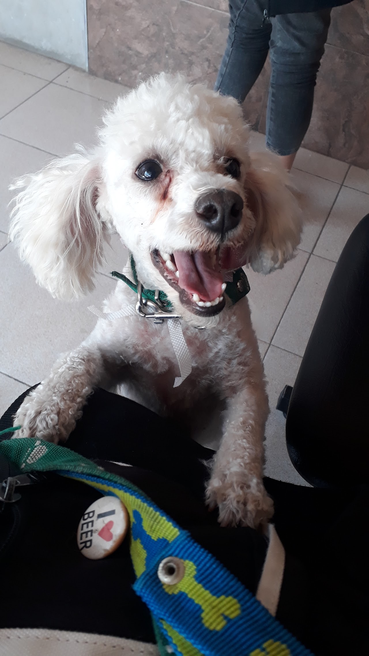 Veterinaria examinando afectuosamente a un cachorro en consultorio de Veterinaria FAUNA Castelar